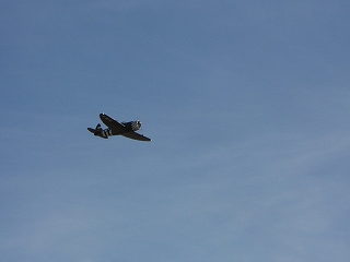 P-47の飛行